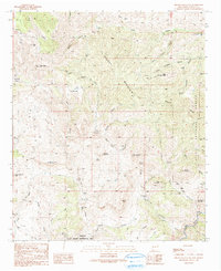 Download a high-resolution, GPS-compatible USGS topo map for Brushy Mountain, NM (1991 edition)