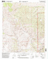 Download a high-resolution, GPS-compatible USGS topo map for Brushy Mountain, NM (2002 edition)