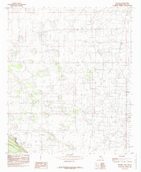Download a high-resolution, GPS-compatible USGS topo map for Buckeye, NM (1985 edition)