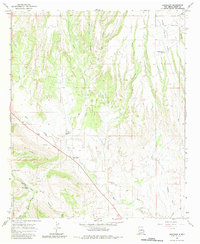 Download a high-resolution, GPS-compatible USGS topo map for Buckhorn, NM (1983 edition)
