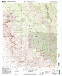 Download a high-resolution, GPS-compatible USGS topo map for Bug Scuffle Canyon, NM (2006 edition)