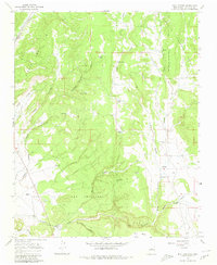Download a high-resolution, GPS-compatible USGS topo map for Bull Canyon, NM (1980 edition)