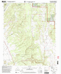 Download a high-resolution, GPS-compatible USGS topo map for Bull Canyon, NM (2003 edition)