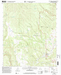 Download a high-resolution, GPS-compatible USGS topo map for Burnt Corral Canyon, NM (2002 edition)