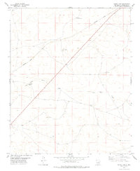 Download a high-resolution, GPS-compatible USGS topo map for Burro Lake, NM (1979 edition)