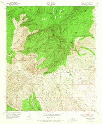 Download a high-resolution, GPS-compatible USGS topo map for Burro Peak, NM (1967 edition)