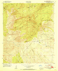 Download a high-resolution, GPS-compatible USGS topo map for Burro Peak, NM (1951 edition)