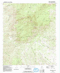 Download a high-resolution, GPS-compatible USGS topo map for Burro Peak, NM (1992 edition)