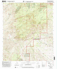 Download a high-resolution, GPS-compatible USGS topo map for Burro Peak, NM (2002 edition)