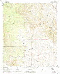 Download a high-resolution, GPS-compatible USGS topo map for C Bar Ranch, NM (1980 edition)