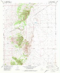Download a high-resolution, GPS-compatible USGS topo map for C-N Lake, NM (1981 edition)