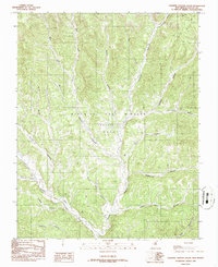 Download a high-resolution, GPS-compatible USGS topo map for Caliente Canyon South, NM (1986 edition)