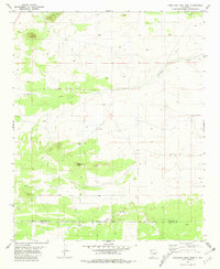 preview thumbnail of historical topo map of Torrance County, NM in 1981