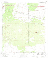 preview thumbnail of historical topo map of Luna County, NM in 1972