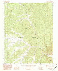 Download a high-resolution, GPS-compatible USGS topo map for Canada Ojitos, NM (1983 edition)