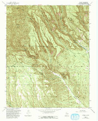 Download a high-resolution, GPS-compatible USGS topo map for Canada, NM (1993 edition)