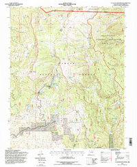 Download a high-resolution, GPS-compatible USGS topo map for Canjilon Mountain, NM (1998 edition)