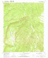 Download a high-resolution, GPS-compatible USGS topo map for Canjilon SE, NM (1980 edition)