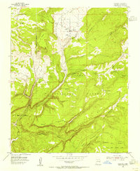Download a high-resolution, GPS-compatible USGS topo map for Canjilon, NM (1955 edition)