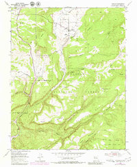 Download a high-resolution, GPS-compatible USGS topo map for Canjilon, NM (1980 edition)