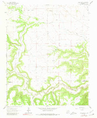 Download a high-resolution, GPS-compatible USGS topo map for Canon Ancho, NM (1980 edition)