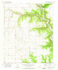Download a high-resolution, GPS-compatible USGS topo map for Canon Colorado, NM (1975 edition)