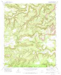 Download a high-resolution, GPS-compatible USGS topo map for Canon Olguin, NM (1975 edition)