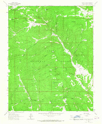 Download a high-resolution, GPS-compatible USGS topo map for Canon Plaza, NM (1967 edition)