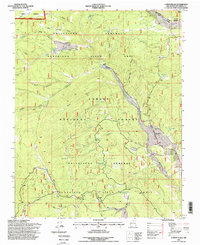 Download a high-resolution, GPS-compatible USGS topo map for Canon Plaza, NM (1998 edition)