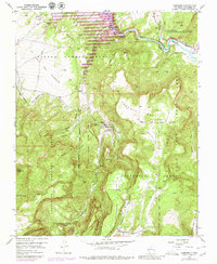 Download a high-resolution, GPS-compatible USGS topo map for Canones, NM (1980 edition)