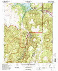 Download a high-resolution, GPS-compatible USGS topo map for Canones, NM (1998 edition)