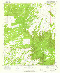 Download a high-resolution, GPS-compatible USGS topo map for Cantaralo Spring, NM (1976 edition)