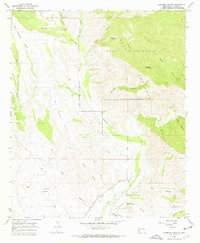 Download a high-resolution, GPS-compatible USGS topo map for Canteen Canyon, NM (1969 edition)