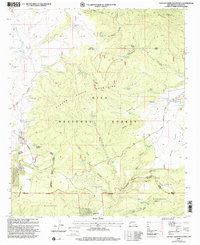 Download a high-resolution, GPS-compatible USGS topo map for Canyon Creek Mountains, NM (2002 edition)
