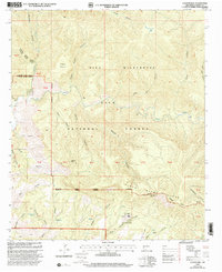 Download a high-resolution, GPS-compatible USGS topo map for Canyon Hill, NM (2002 edition)