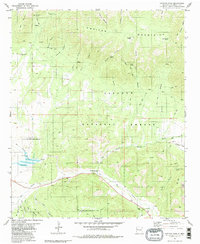 Download a high-resolution, GPS-compatible USGS topo map for Capitan Pass, NM (1981 edition)