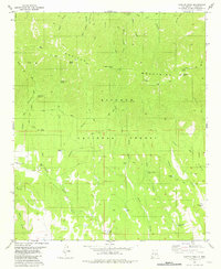 Download a high-resolution, GPS-compatible USGS topo map for Capitan Peak, NM (1981 edition)