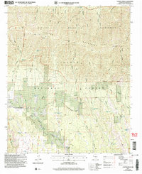 Download a high-resolution, GPS-compatible USGS topo map for Capitan Peak, NM (2006 edition)