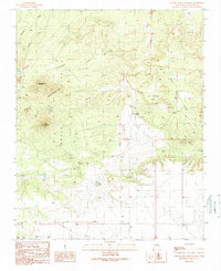 Download a high-resolution, GPS-compatible USGS topo map for Captain Davis Mountain, NM (1990 edition)