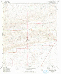 Download a high-resolution, GPS-compatible USGS topo map for Carlsbad Caverns, NM (1979 edition)