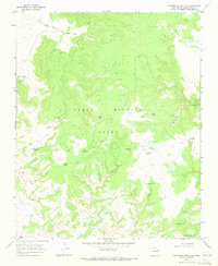 Download a high-resolution, GPS-compatible USGS topo map for Carpenter Mesa NW, NM (1971 edition)