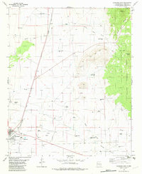 Download a high-resolution, GPS-compatible USGS topo map for Carrizozo East, NM (1982 edition)