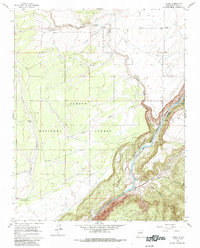 Download a high-resolution, GPS-compatible USGS topo map for Carson, NM (1985 edition)