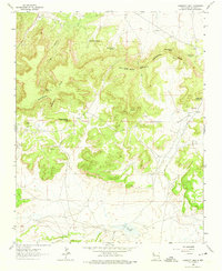 Download a high-resolution, GPS-compatible USGS topo map for Casamero Lake, NM (1974 edition)