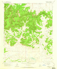 Download a high-resolution, GPS-compatible USGS topo map for Casamero Lake, NM (1965 edition)