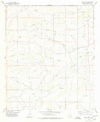 Download a high-resolution, GPS-compatible USGS topo map for Cawley Draw, NM (1979 edition)