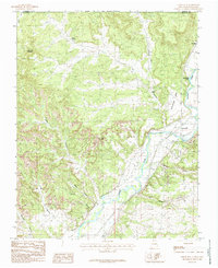 Download a high-resolution, GPS-compatible USGS topo map for Cedar Hill, NM (1985 edition)