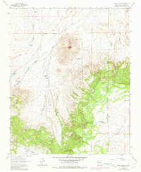Download a high-resolution, GPS-compatible USGS topo map for Cerro Alesna, NM (1981 edition)
