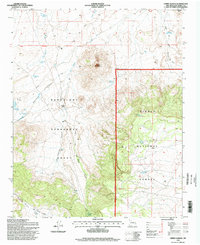 Download a high-resolution, GPS-compatible USGS topo map for Cerro Alesna, NM (1998 edition)