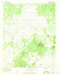 Download a high-resolution, GPS-compatible USGS topo map for Cerro Alto, NM (1971 edition)